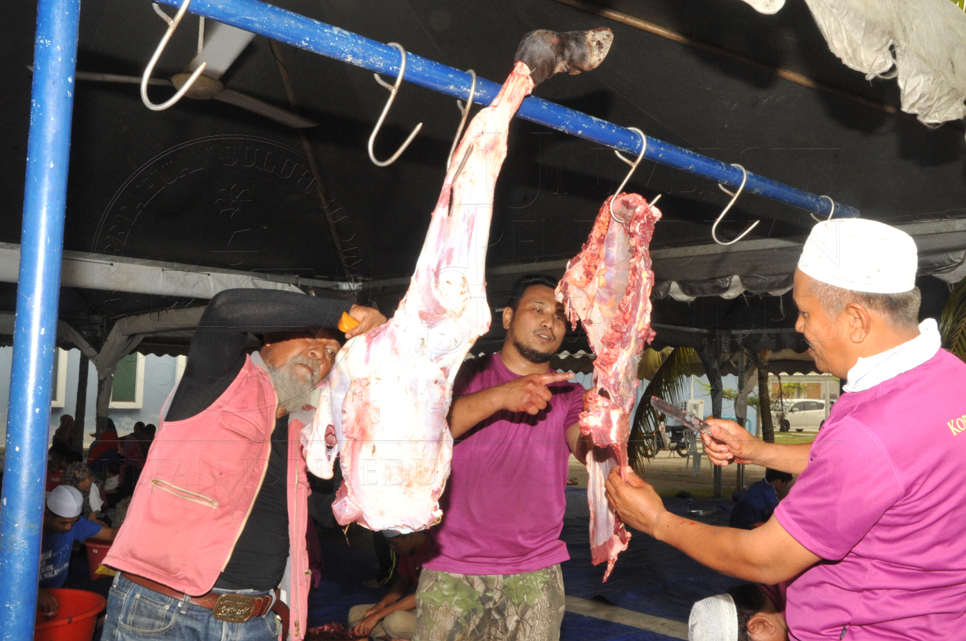 PRO15 150 KORBAN HAS 6961